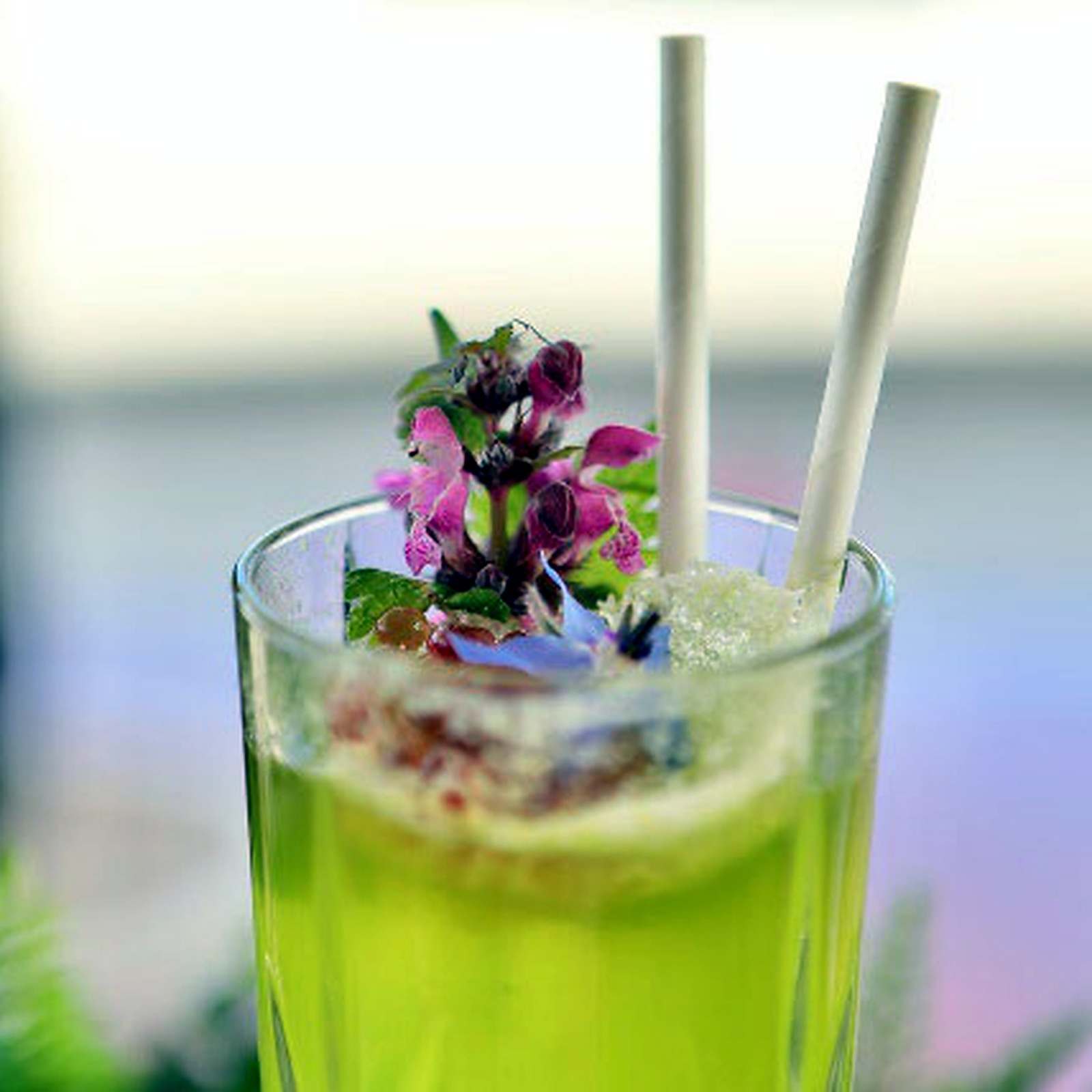 Cocktail signature SOREL dans une direction premium et graphique